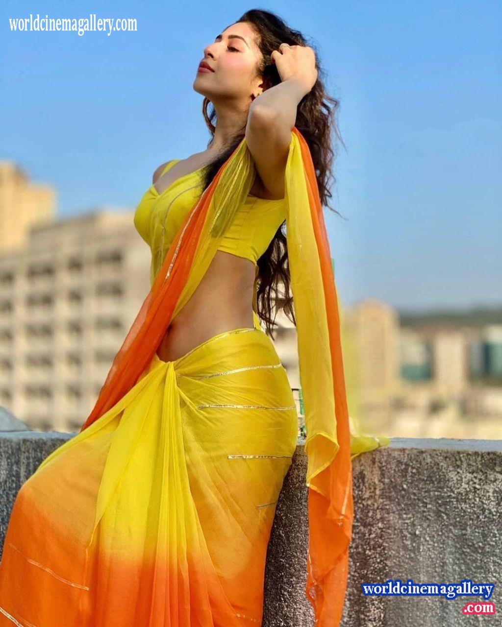 Sonarika Bhadoria hot yellow saree stills