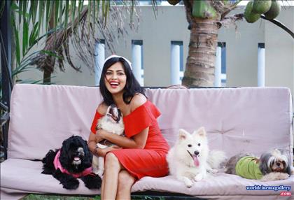 Amala Paul Latest Stills