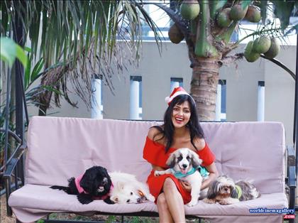 Amala Paul Latest Stills