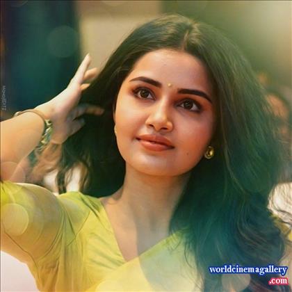 Anupama Stills at Sri Venkateswara Creations 2017 Success Meet