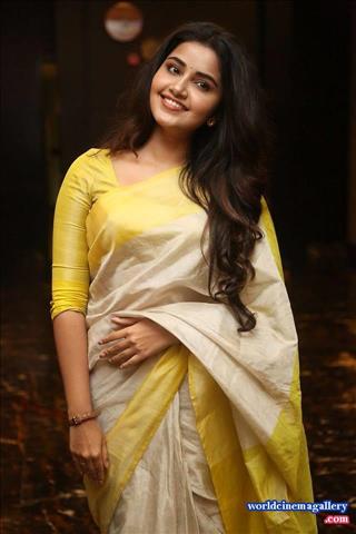 Anupama Stills at Sri Venkateswara Creations 2017 Success Meet