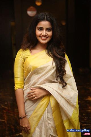 Anupama Stills at Sri Venkateswara Creations 2017 Success Meet