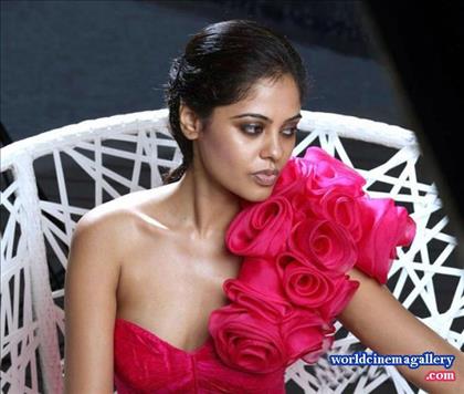 Bindu Madhavi Hot Half Saree Stills