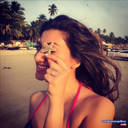 Hamsa Nandini Latest Photo Stills 