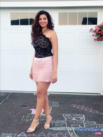 Hamsa Nandini Latest Photo Stills 