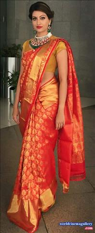 Hamsa Nandini Latest Photo Stills 