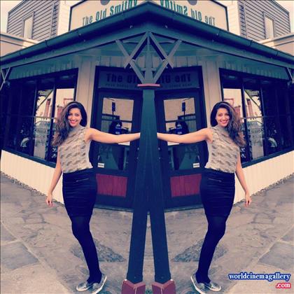 Hamsa Nandini Latest Photo Stills 