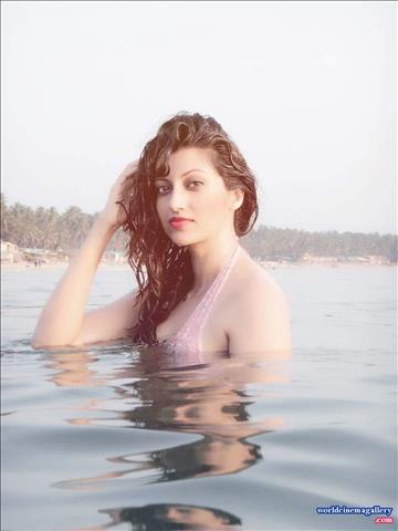 Hamsa Nandini Latest Photo Stills 
