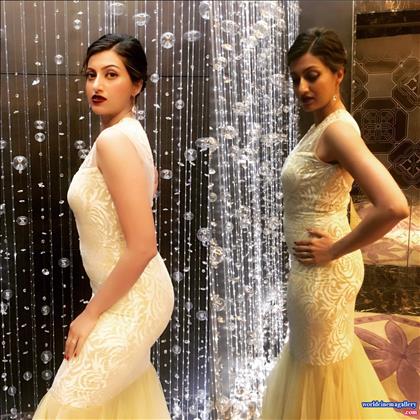 Hamsa Nandini Latest Photo Stills 