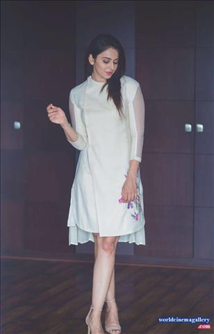 Rakul Preet Singh Latest HD Photoshoot Stills - World Cinema Gallery