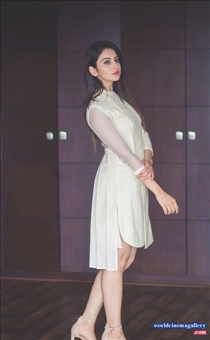 Rakul Preet Singh Latest HD Photoshoot Stills - World Cinema Gallery