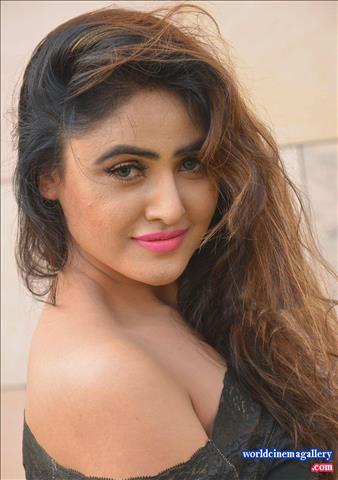 Sony Charishta Hot Black Transparent Saree Stills