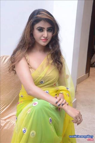 Sony Charishta Hot Green Transparent Saree Stills at India Med Expo 2016