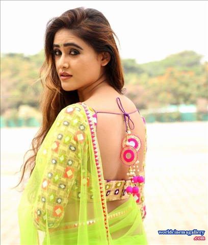 Sony Charishta Hot Green Transparent Saree Stills at India Med Expo 2016