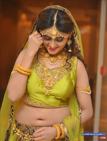 Sony Charishta Hot Green Transparent Saree Stills at India Med Expo 2016