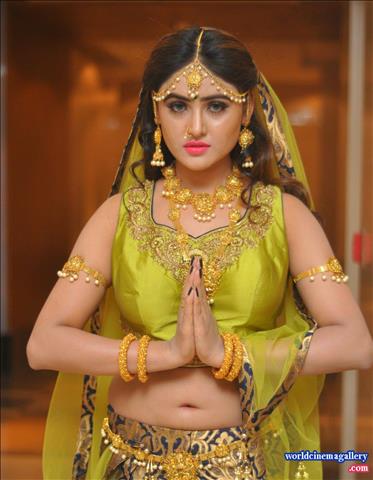 Sony Charishta Hot Green Transparent Saree Stills at India Med Expo 2016