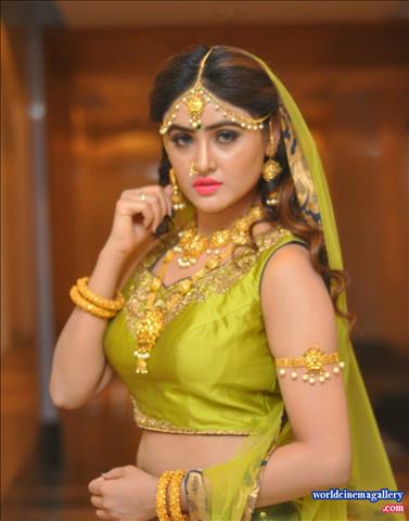 Sony Charishta Hot Green Transparent Saree Stills at India Med Expo 2016