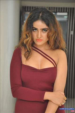 Sony Charishta Hot Red Dress at Birthday Celebrations 2017