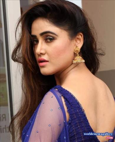 Sony Charishta Hot Stills in Blue Saree Pics