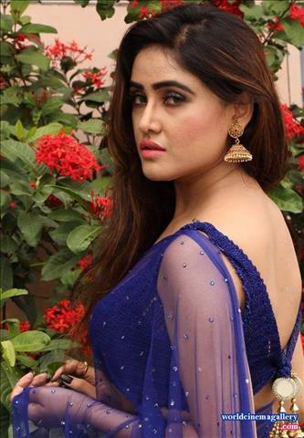 Sony Charishta Hot Stills in Blue Saree Pics