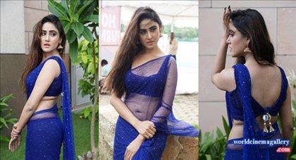 Sony Charishta Hot Stills in Blue Saree Pics