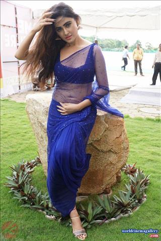 Sony Charishta Hot Stills in Blue Saree Pics