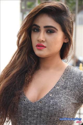 Sony Charishta Hot Transparent Saree Stills - World Cinema Gallery