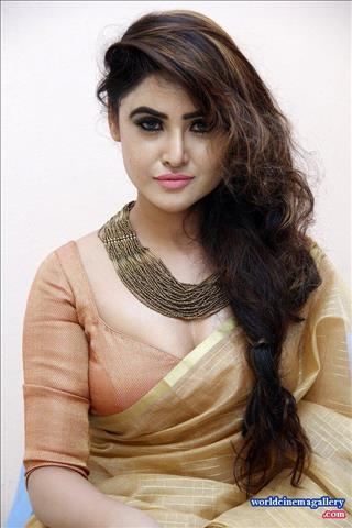 Sony Charishta Hot Yellow Saree Stills