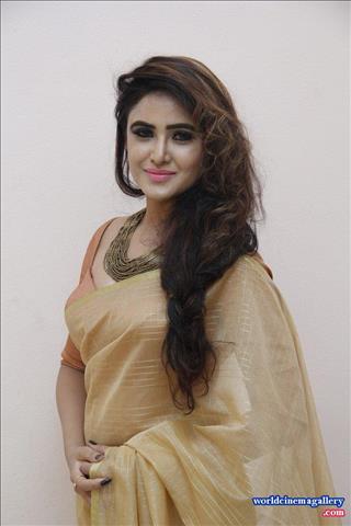 Sony Charishta Hot Yellow Saree Stills