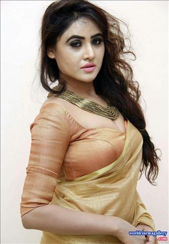 Sony Charishta Hot Yellow Saree Stills