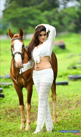 Sony Charishta latest Hot Photoshoot Stills