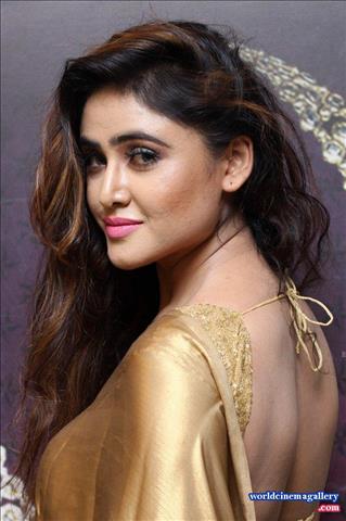 Sony Charishta Saree Stills at Manepally Jewellers Exclusive