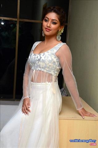 Anu Emmanuel at Kittu Unnadu Jagratha Gummadikaya movie Press meet