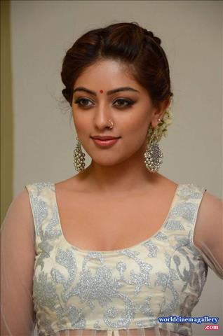 Anu Emmanuel at Kittu Unnadu Jagratha Gummadikaya movie Press meet