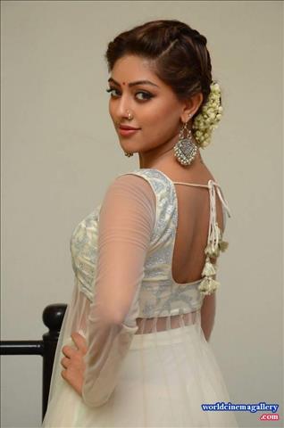 Anu Emmanuel at Kittu Unnadu Jagratha Gummadikaya movie Press meet