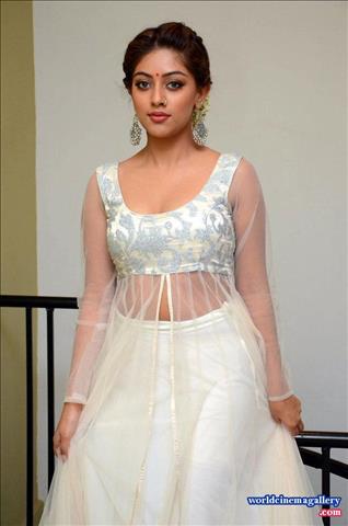 Anu Emmanuel at Kittu Unnadu Jagratha Gummadikaya movie Press meet