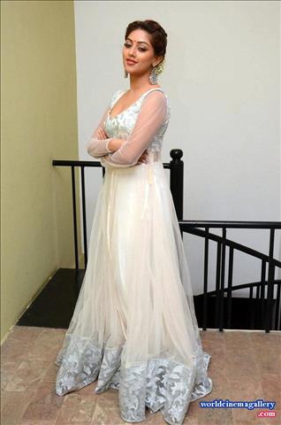 Anu Emmanuel at Kittu Unnadu Jagratha Gummadikaya movie Press meet