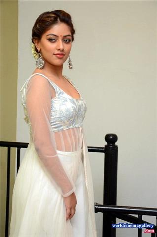 Anu Emmanuel at Kittu Unnadu Jagratha Gummadikaya movie Press meet