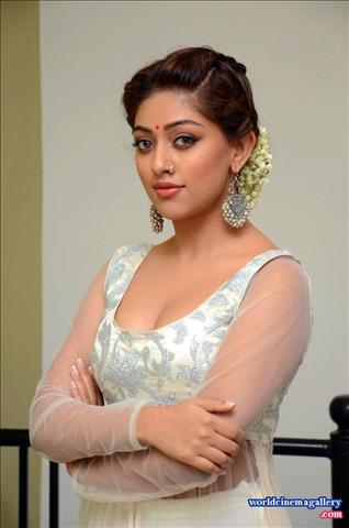 Anu Emmanuel at Kittu Unnadu Jagratha Gummadikaya movie Press meet