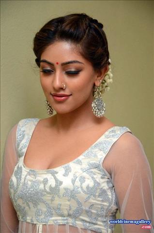 Anu Emmanuel at Kittu Unnadu Jagratha Gummadikaya movie Press meet