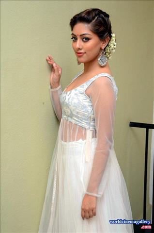 Anu Emmanuel at Kittu Unnadu Jagratha Gummadikaya movie Press meet