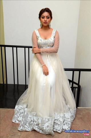 Anu Emmanuel at Kittu Unnadu Jagratha Gummadikaya movie Press meet