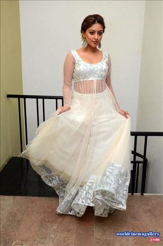 Anu Emmanuel at Kittu Unnadu Jagratha Gummadikaya movie Press meet