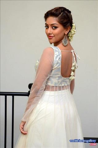 Anu Emmanuel at Kittu Unnadu Jagratha Gummadikaya movie Press meet