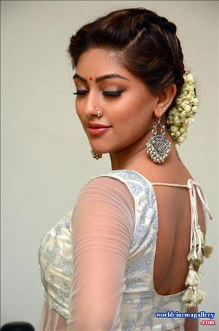 Anu Emmanuel at Kittu Unnadu Jagratha Gummadikaya movie Press meet