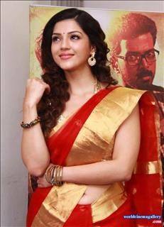 Mehreen Kaur pirzada cute in saree photo