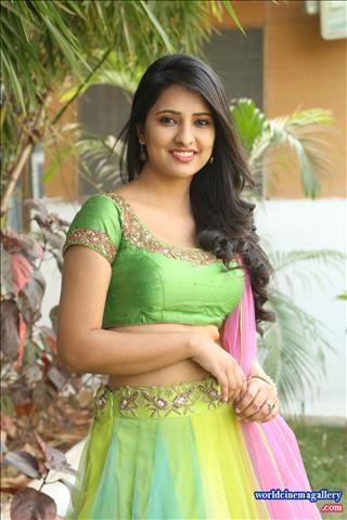 Nikitha Bisht Launches pochampally ikat art mela nizampet