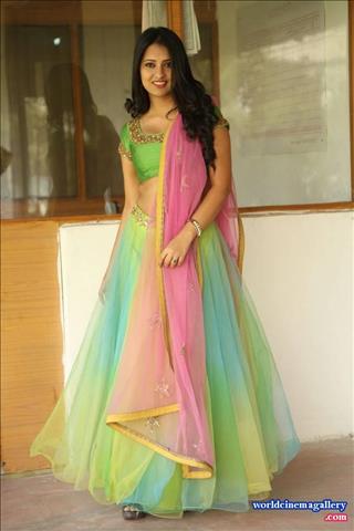 Nikitha Bisht Launches pochampally ikat art mela nizampet