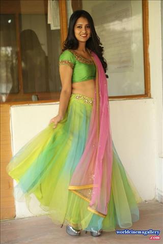 Nikitha Bisht Launches pochampally ikat art mela nizampet