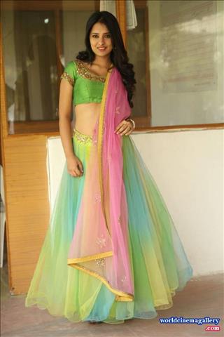 Nikitha Bisht Launches pochampally ikat art mela nizampet